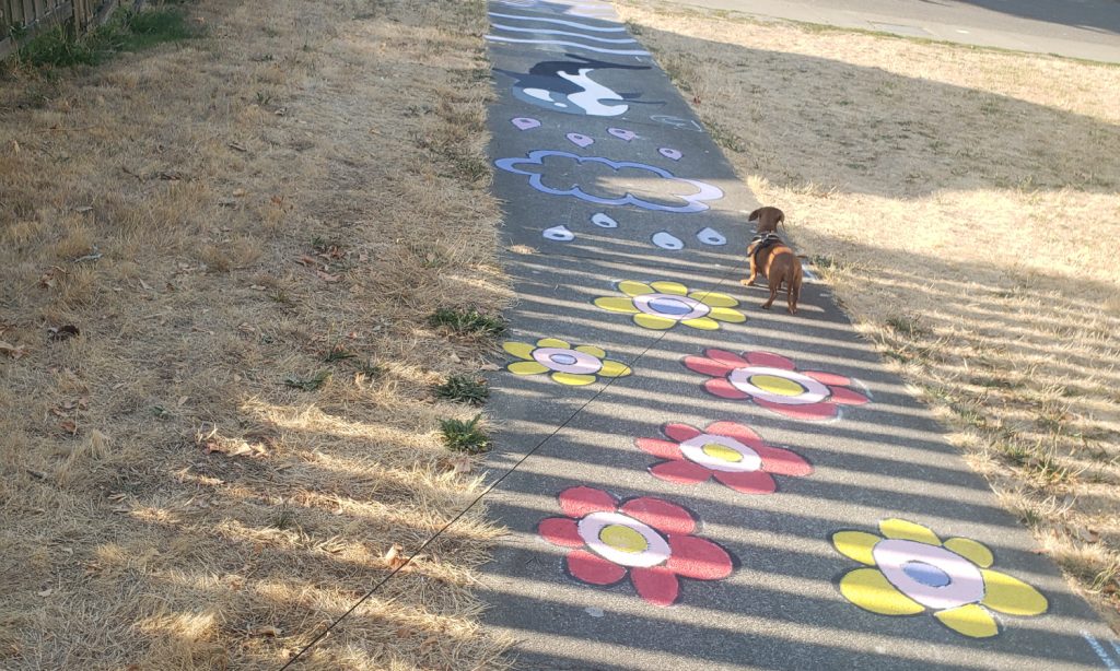 Photo of Big Tree Sidewalk Mural